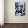 thumbnail image 4 of Trademark Fine Art 'White Wolf' Canvas Art by Jenny Newland, 4 of 4