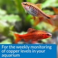 thumbnail image 3 of API Copper Test Kit, Aquarium Water Test Kit, 1-Count, 3 of 8