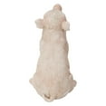 thumbnail image 4 of Baby Pig Sitting - Pink, 4 of 5