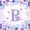Purple White B, variant on jejeloiu Purple Butterfly Monogram A 7-Piece Twin Bedding Sets For Girls,Watercolor Floral Blossom Bedding Comforter Set,Pink Reversible
