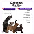 thumbnail image 4 of Dentahex Oral Rinse for Dogs and Cats by Vetoquinol - 8 Ounce, 4 of 6