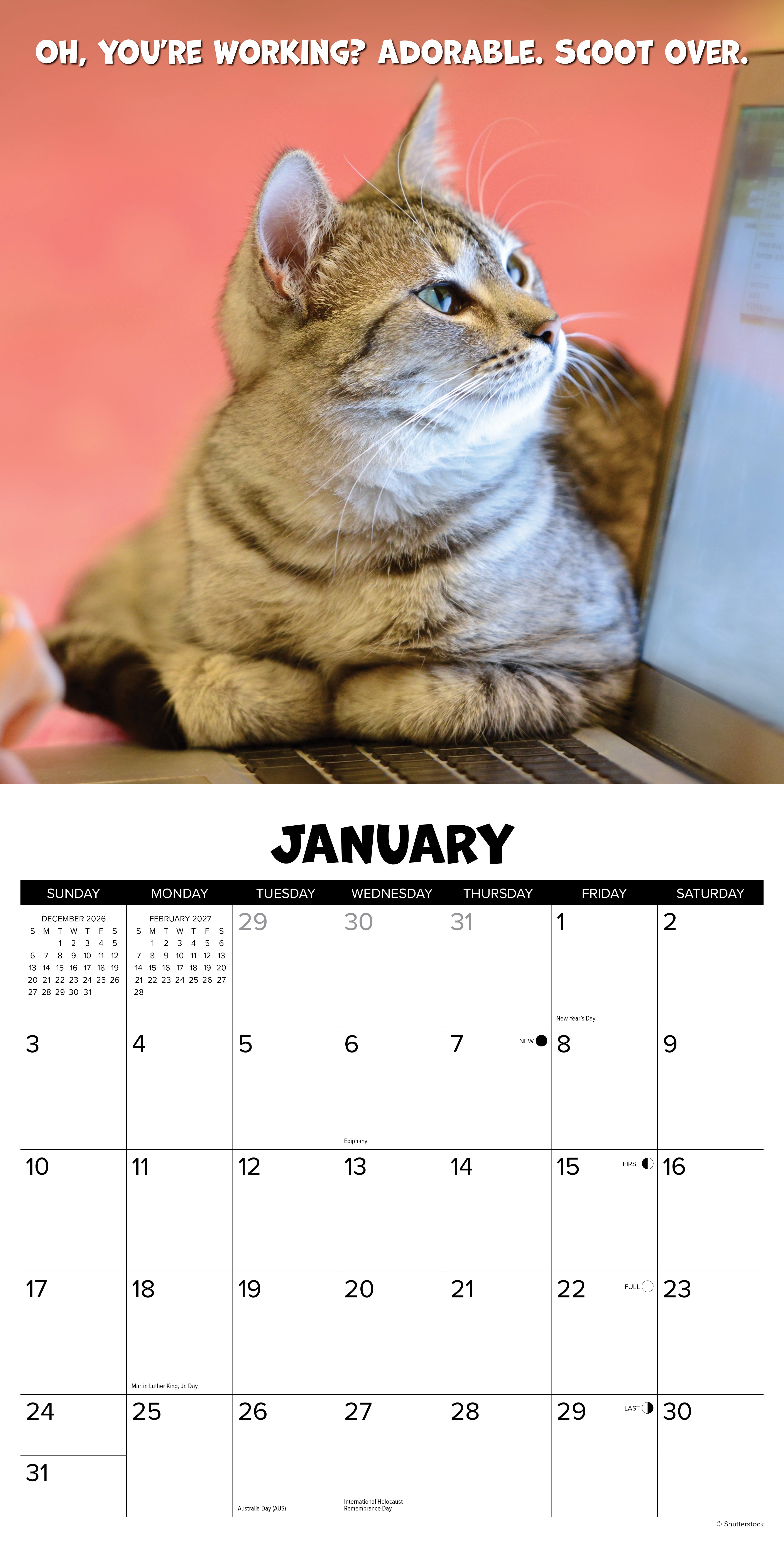 Willow Creek Press, Cat Chat 2027 Wall Calendar