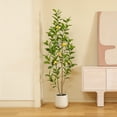 thumbnail image 4 of 6ft Artificial Lemon Tree with Oval White Pot, Realistic Looking Foliage - Perfect for Home or Office Decor!, 4 of 8