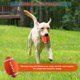 thumbnail image 4 of Juguetes para perros Squeaky Dog Rugby Toy Bounce and Fetch Dog Balls para perros medianos y grandes, 4 of 5