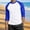Blue, variant on Men's Casual Tee Raglan Sleeve Color Block Design Three Quarter Sleeve Round Neck Relaxed Fit Spring Summer