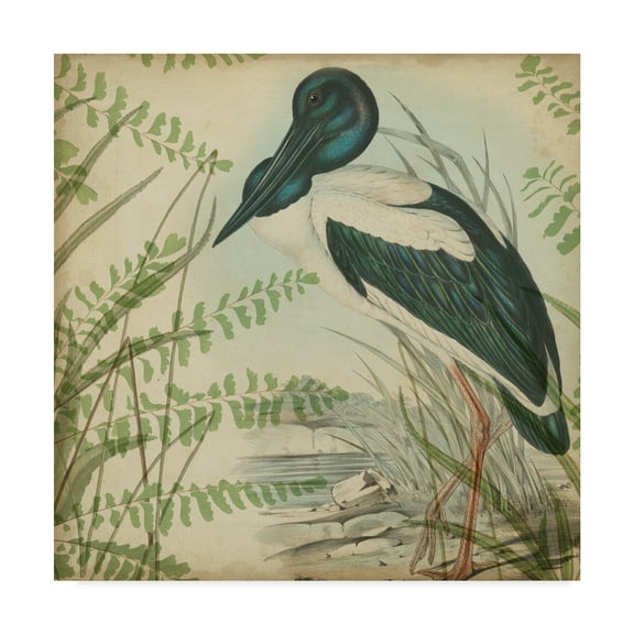 Trademark Fine Art 'Heron And Ferns I' Canvas Art by Vision Studio