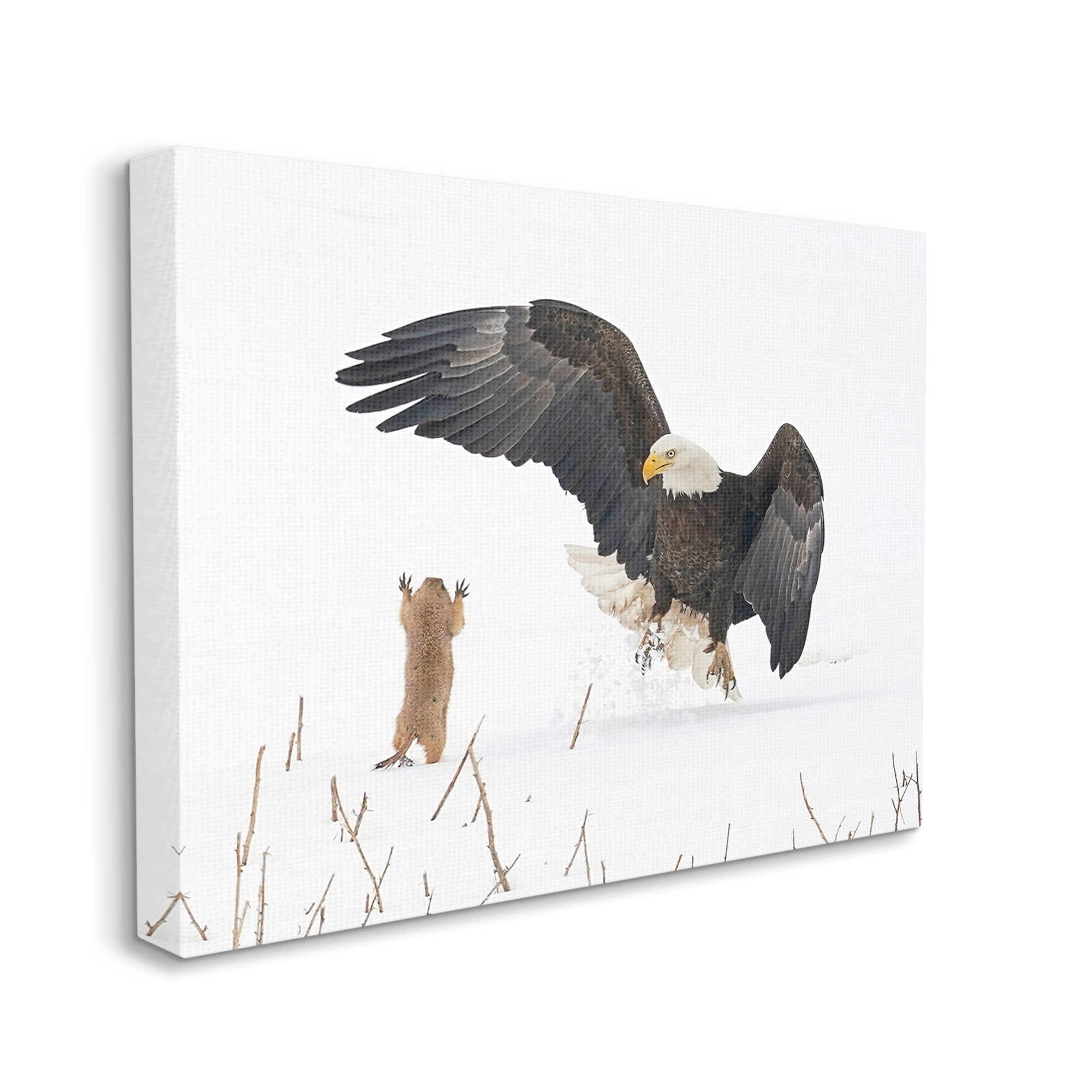 Stupell Industries Prairie Dog & Eagle Animals & Insects Photography Gallery Wrapped Canvas Art Print Wall Art, 30 x 24