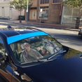 thumbnail image 5 of 3D Halloween Zombie Car Auto Sunshades Windshield Heat Protection, Halloween Decorative Sun Shades Univeral Fit Cars Suv Truck . Halloween Horror Movie Cosplay Car Decor, 5 of 6