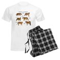 thumbnail image 6 of CafePress - Tigers Of The World Men's Light Pajamas - Men's Light Loose Fit Cotton Pajama Set, 6 of 7