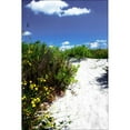 thumbnail image 3 of Hausenflock, Alan 17x24 Black Modern Framed Museum Art Print Titled - A Sandy Pathway I, 3 of 5