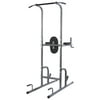 Dip Station Chin up Tower Rack Stand