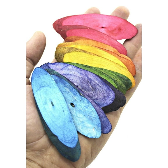 Bonka Bird Toys 3402 Pk12 Rainbow Sola Slices