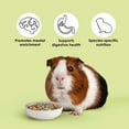 thumbnail image 5 of Kaytee Food from the Wild Guinea Pig Food, 4 Pounds, 5 of 11