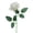 Beige, variant on Fule Artificial Velvet Rose Flower, Ngxiha Velvet Single Roses Fake Rose Rose Decor Flower Centerpiece Arrangement in Vase Rose Decor Flower for Wedding Outdoor & Home Decoration