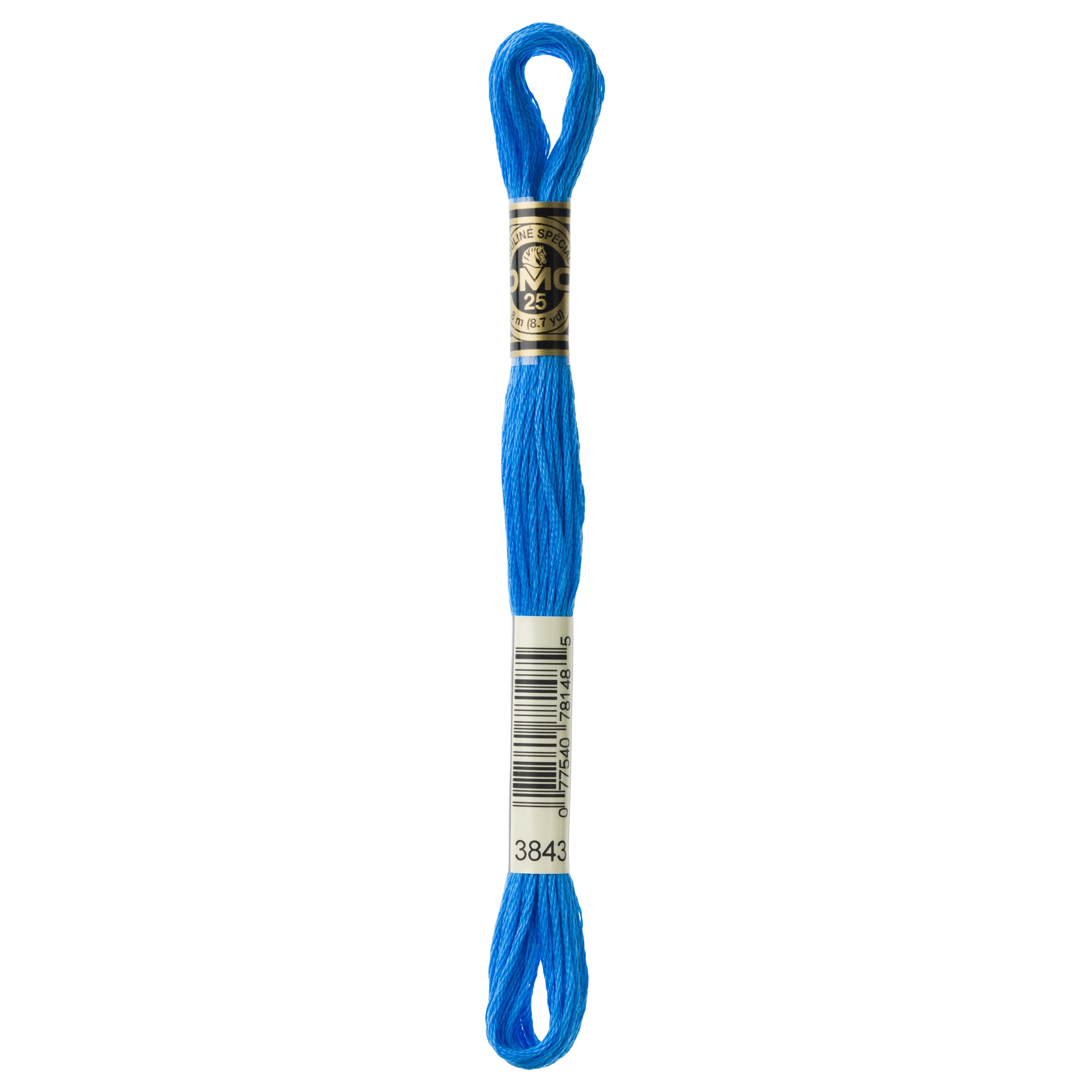 (2 pack) DMC 6-Strand Embroidery Cotton 8.7yd-Electric Blue - Case Pack of 12