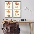 thumbnail image 2 of Woodland Mushroom Botanical Sprouts Botanical & Floral Graphic Art Black Framed Art Print Wall Art, Set of 4, 2 of 8