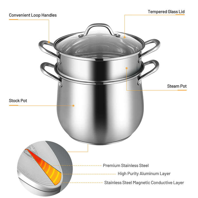 COSTWAY 2-Tier Stainless Steel Steamer, 11-Inch Multi-Layer Boiler Pot with  Handles on Both Sides, Cookware Pot with Tempered Glass Lid, Work with