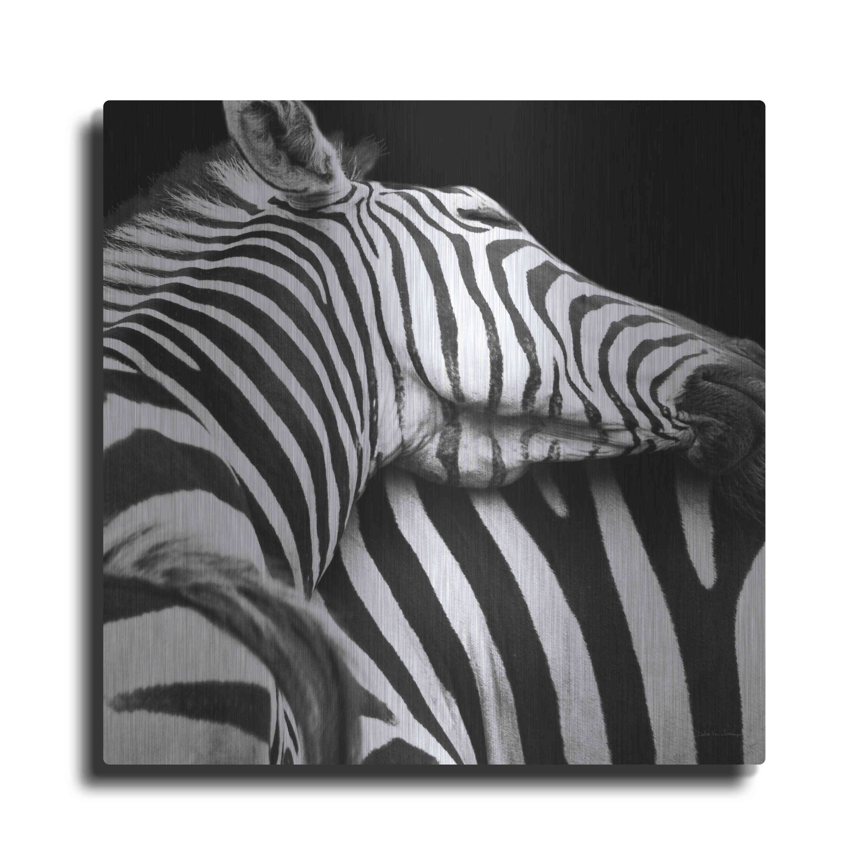 Luxe Metal Art 'Zebra VIII' by Debra Van Swearingen, Metal Wall Art, 12