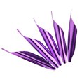 thumbnail image 1 of Xingzhi 50pcs 2.3-Inch Spiral Feather DIY Spiral Feather Reverse Bow Competitive Bow Feather Feather TYPE2, 1 of 1