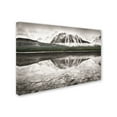 thumbnail image 2 of Trademark Fine Art 'Waterfowl Lake I BW with Color' Canvas Art by Alan Majchrowicz, 2 of 3