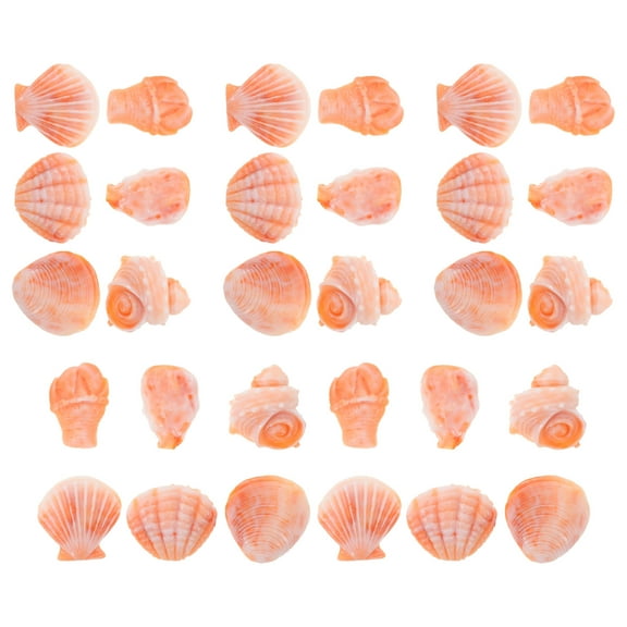 LOLIPPYY 30Pcs Orange Small Spiral Seashells for Wedding Beach Theme Decor and Party Under The Sea Decoration