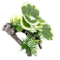 thumbnail image 1 of Acuario Árbol Plantas Decoraciones Diseño de base estable Plantas Accesorios Pecera Estilo D, 1 of 8