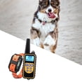 thumbnail image 3 of BELOVING Collier d'Entraînement pour Chien Antichoc Télécommande Étanche 1 Pce Orange, 3 of 8
