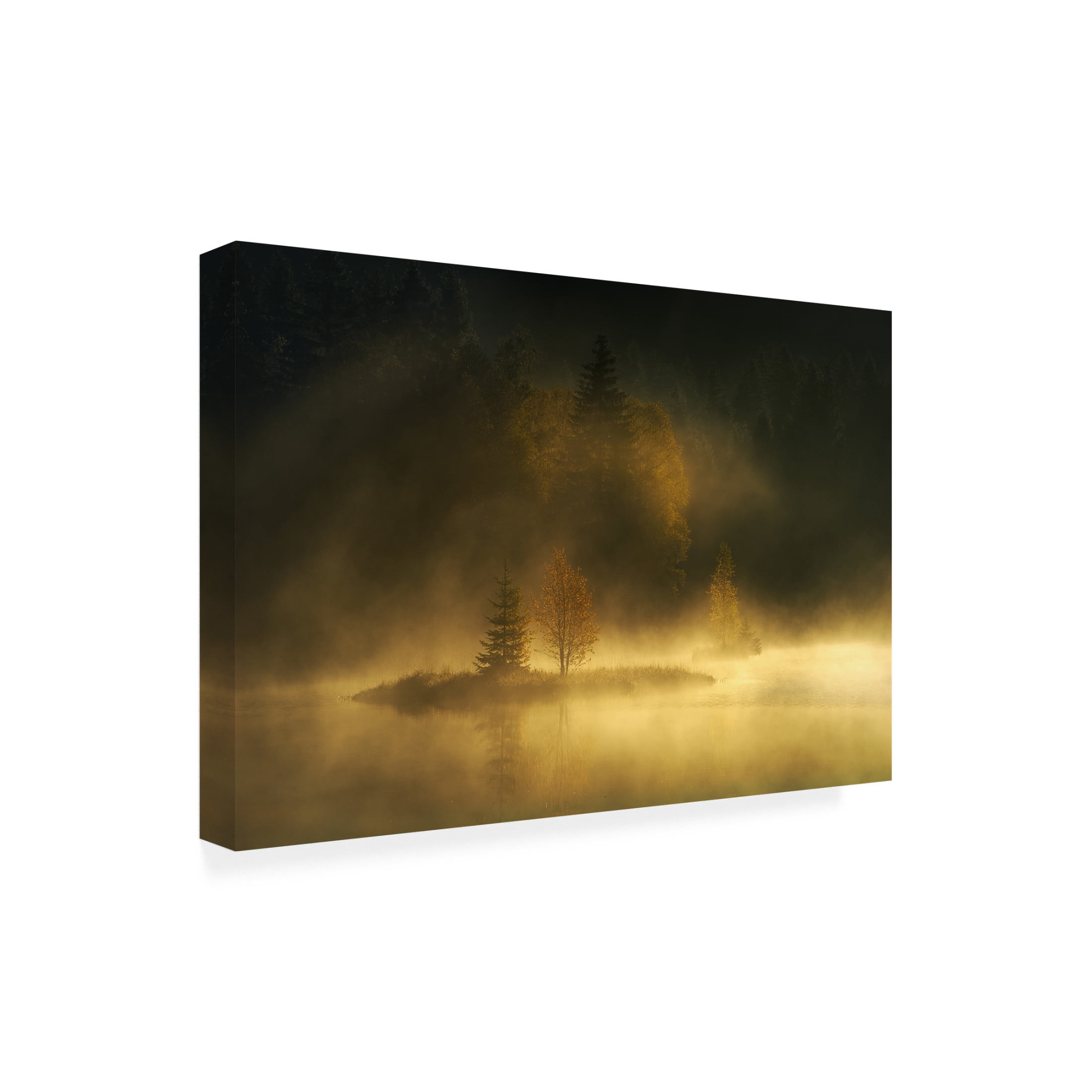 Canvas Wall Art - Ellen Borggreve 'Autumnsphere' Wall Art for Living Room, Bedroom, or Office D?cor by Trademark Fine Art - 32 x 22 Inches