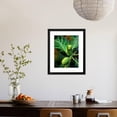 thumbnail image 3 of Breadfruit tree on Jamaica, Botanical Scenic Framed Art Print Wall Art by Rainer Hackenberg Sold by Art.Com, 3 of 5