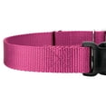 thumbnail image 7 of Country Brook Petz® Rose Durable Nylon Martingale with Deluxe Buckle - Made in the USA, Small, 7 of 7