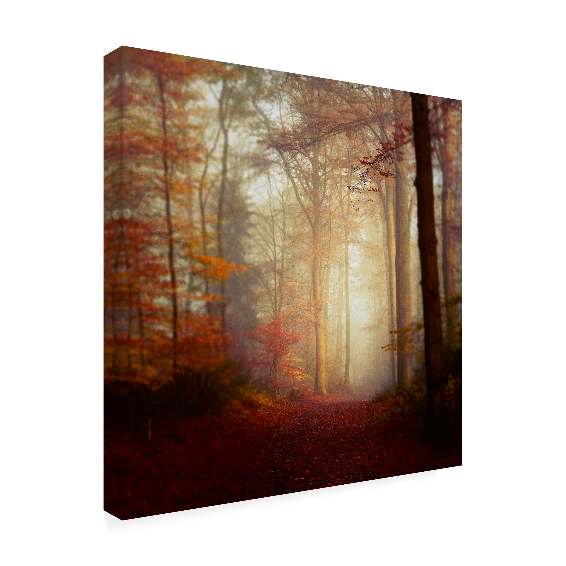 Canvas Wall Art - Dirk Wüstenhagen 'Fall Hike' Wall Art for Living Room, Bedroom, or Office Décor by Trademark Fine Art - 35 x 35 Inches - 35x35