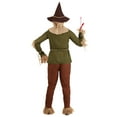 thumbnail image 3 of Wizard of Oz Plus Size Scarecrow Costume, 3 of 4