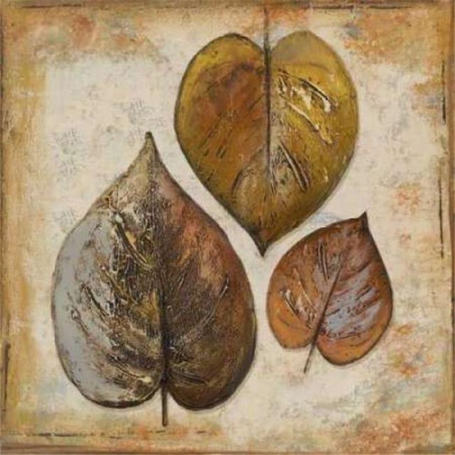 Natural Leaves II Poster Print by Patricia Pinto, 12 x 12 - Small