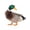 A, variant on ABODELINE Lifelike Acrylic Mallard Garden Stake - Realistic Duck Decor for Outdoor Lawn, Yard, and Patio Decoration (10.4 inch)