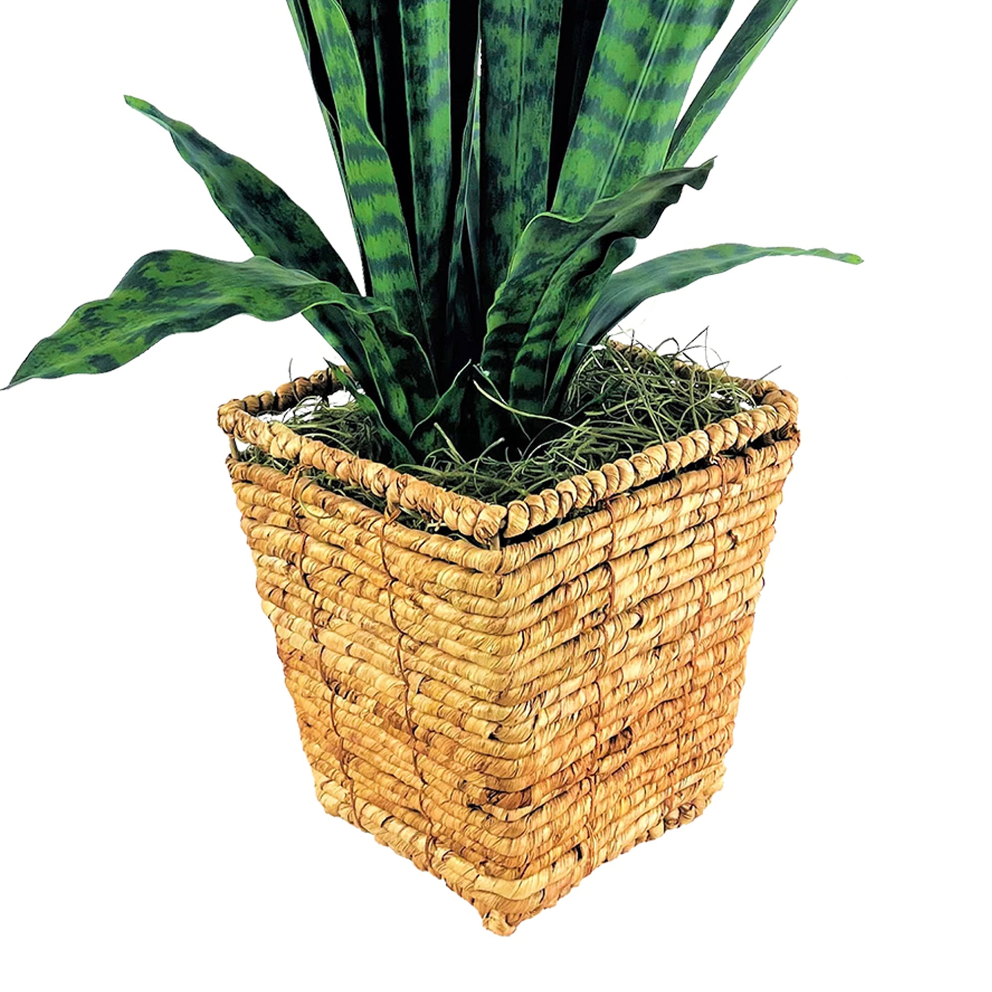 LCG Florals Artificial Plant, Snake Plant, 3.17 ft, Square Handwoven Basket