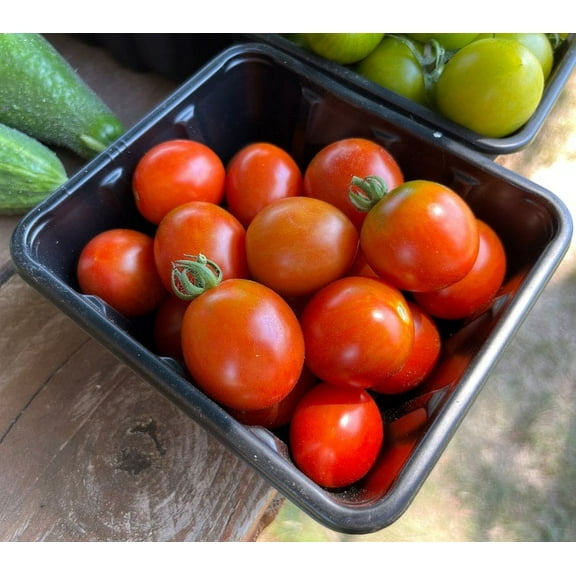 Sweet Prince Plum Tomato Premium Seed Packet