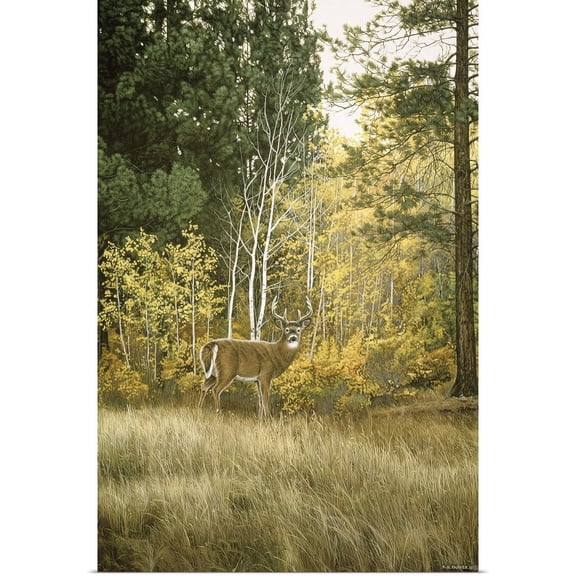 Great BIG Canvas | "Autumn Aspen" Art Print - 24x36