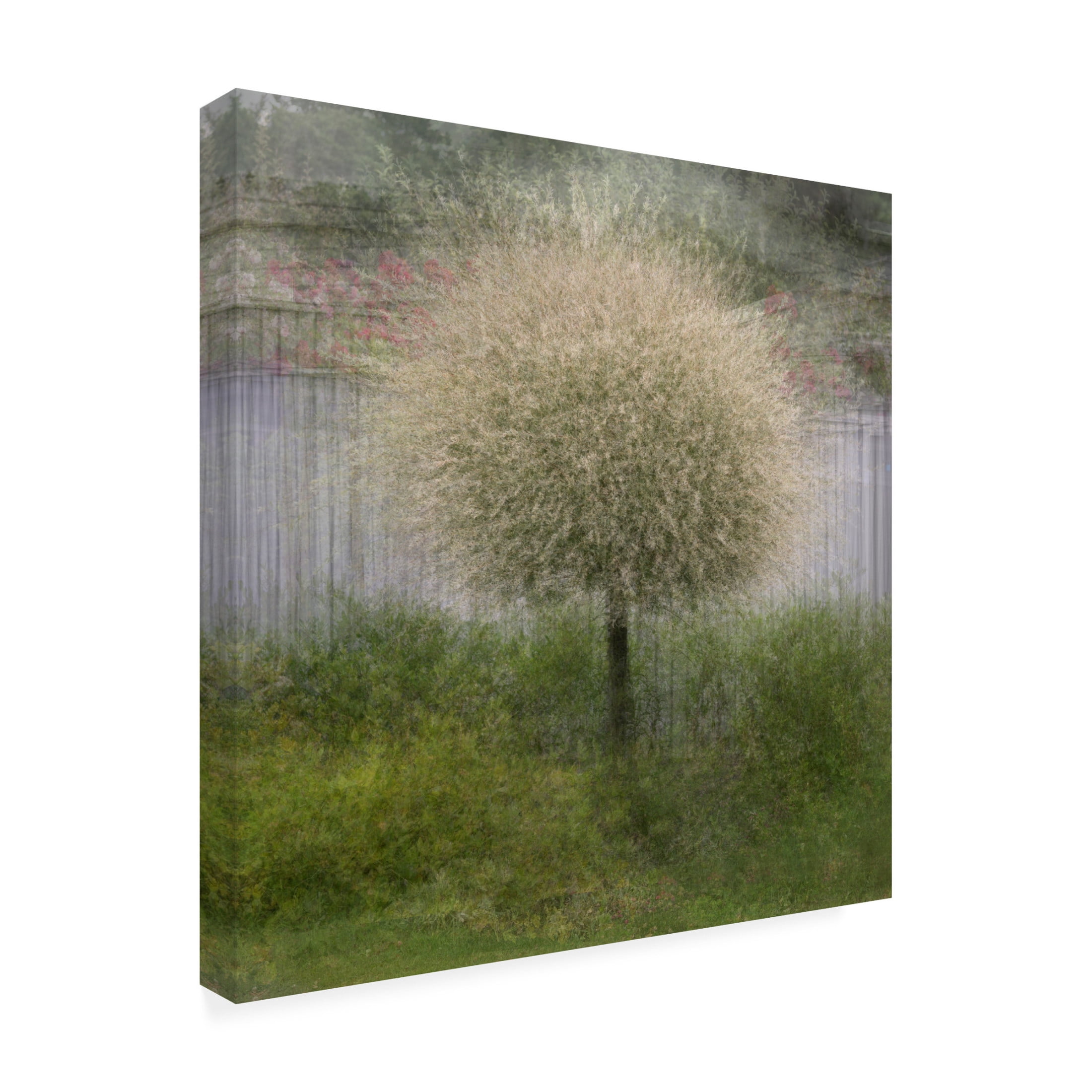 Canvas Wall Art - Delphine Devos 'In Front Of The Fence' Wall Art for Living Room, Bedroom, or Office Décor by Trademark Fine Art - 24 x 24 Inches