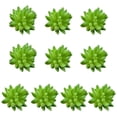 thumbnail image 3 of 10x Fake Succulents Small Vivid Useful Simulated Plants Multi-functional Lifelike Photo Props for Household Yards Lawn Flowerpot Type 10, 3 of 9