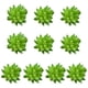 thumbnail image 1 of Mini suculentas Toystoory 10 piezas decorativas plantas simuladas, 1 of 6