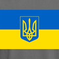 thumbnail image 3 of CafePress - Ukrainian Flag - Mens Comfort Colors Shirt, 3 of 5