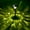 B, variant on 10 Pack Solar Pathway Lights, Garden Solar Lights Outdoor Waterproof IP105, LED Bright Glass Outside Light for Garden Path Yard Walkway Driveway