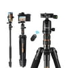 TACKLIFE 81-inch Camera Tripod for DSLR, Aluminum Tripod with 360 Panorama Ball Head and Monopod, for Travel and Shooting-17.6lbs Load