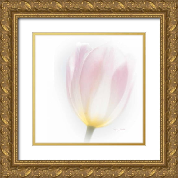 Murdock, Ramona 26x26 Gold Ornate Wood Framed with Double Matting Museum Art Print Titled - Translucent