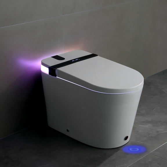 Dcskyn Smart Toilet with Bidet Seat Auto Open Close Foot Sensor LED Night Light Warm Water Dryer