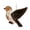 Bird - 7.88in, variant on Handmade Fiber Bird Nesting Holder 7.9" Winter Wild Bird Shelter Nesting Material Dispenser for Garden Patio Outdoor Use Cat