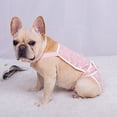 thumbnail image 2 of ievspot 1 Pcs Washable Dog Sanitary Panties with Suspenders,Soft BreathablePet Underwear Diaper for Female Dogs, 2 of 8