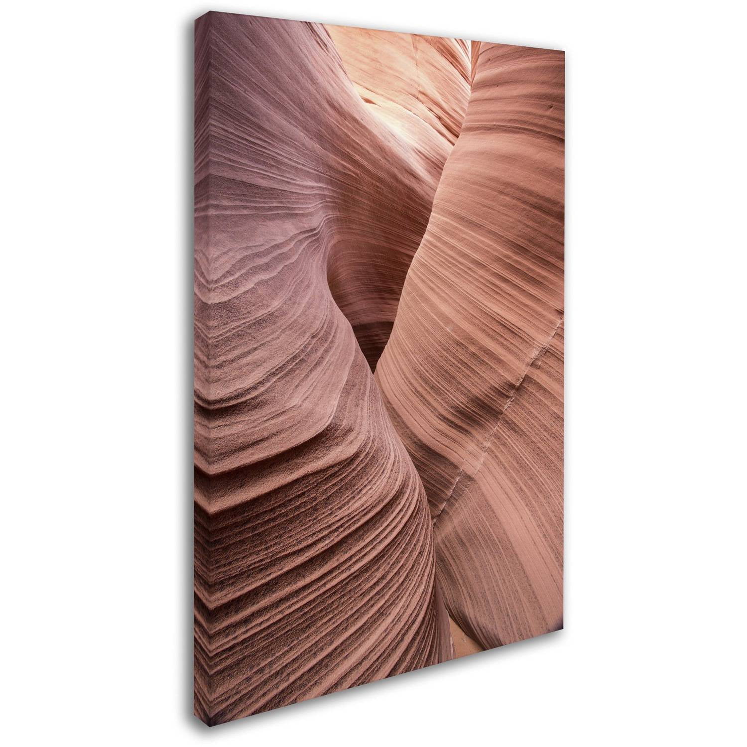 Trademark Fine Art "Spiral V" Canvas Art by Moises Levy