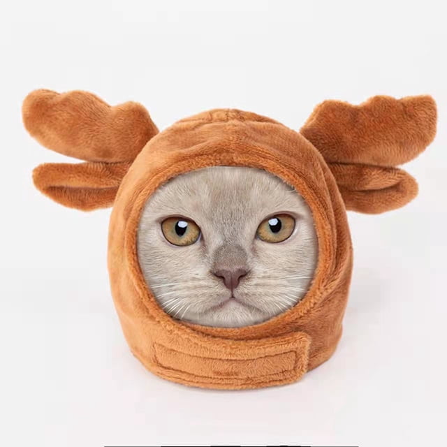 Lindo gorro para gato, gorro para perro de dibujos animados, sombrero para gato, vestido, fiesta, lindos suministros