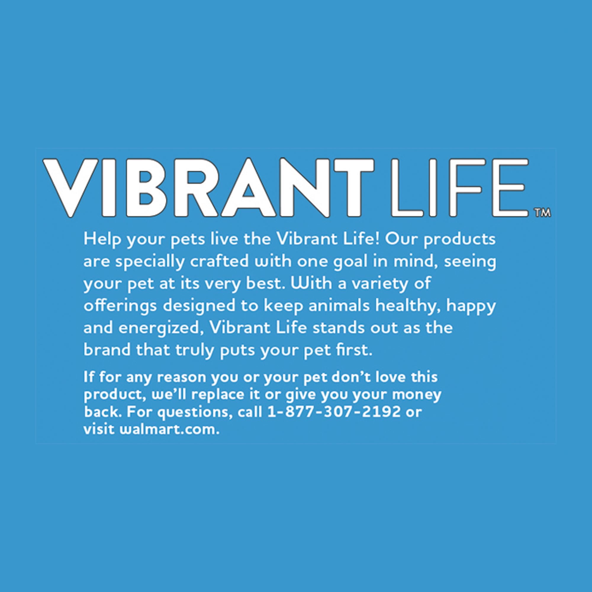 Vibrant Life Human Grade Mistletoe Medley Holiday Dog Treats, 24 oz